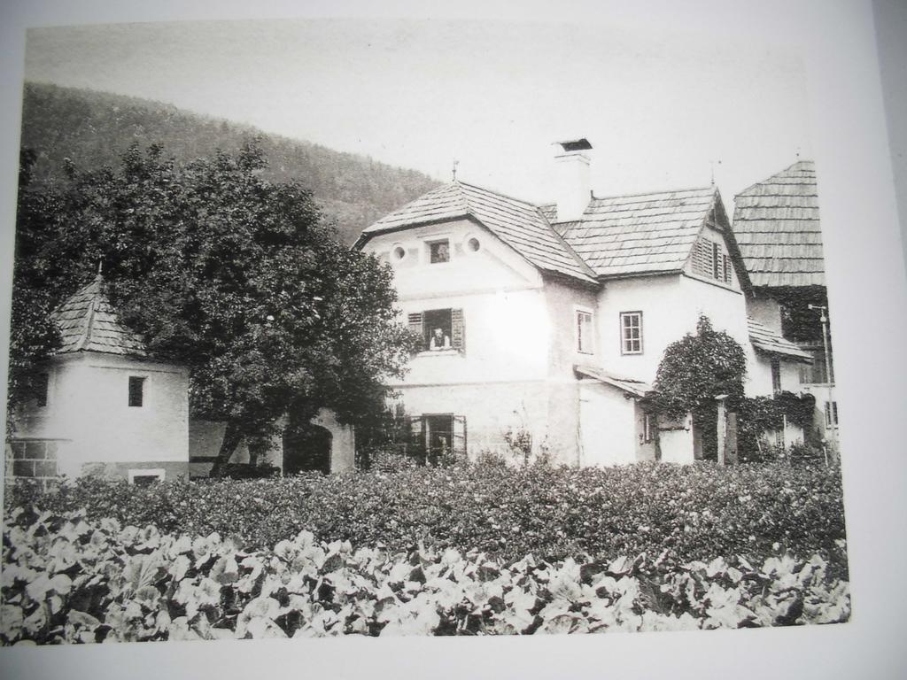 Pension & Ferienwohnung Dullnig Ґмюнд-ін-Кернтен Екстер'єр фото